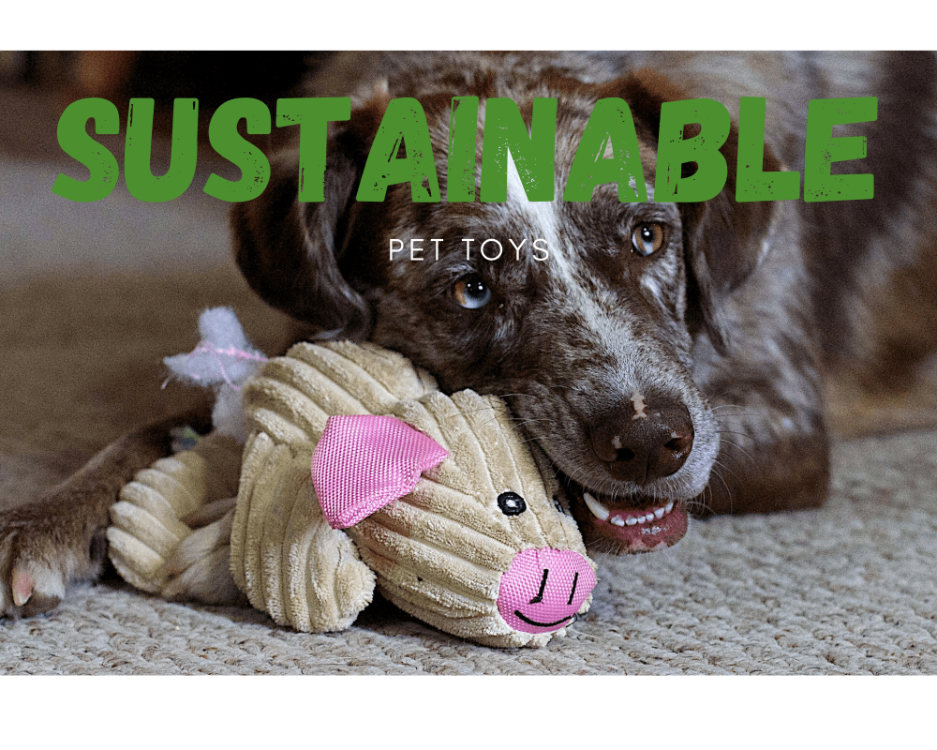 Sustainable Pet Toys